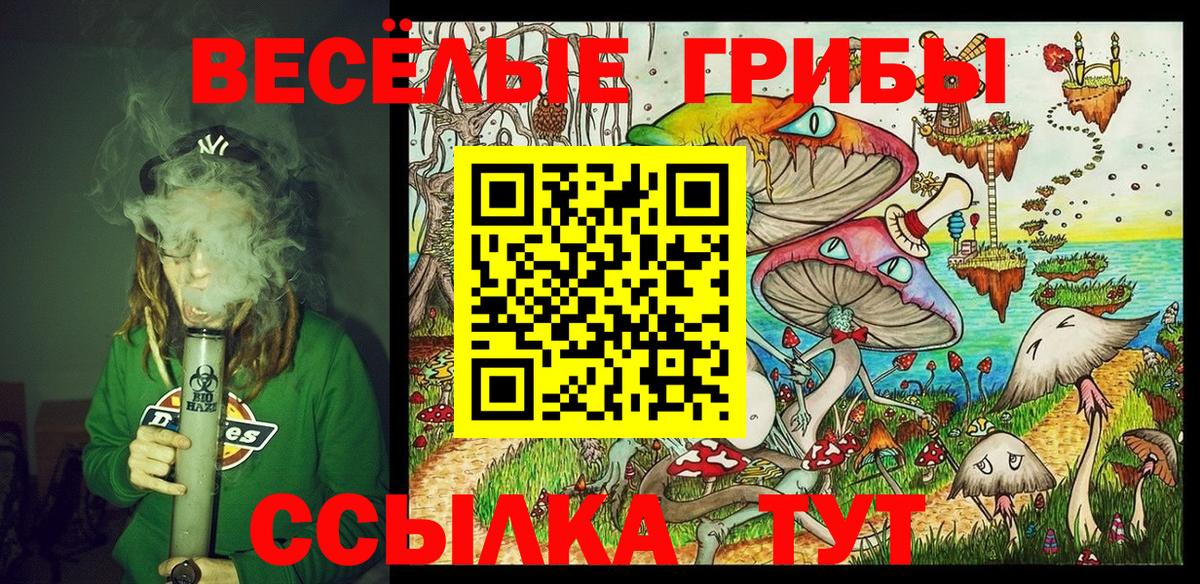 Галлюциногенные грибы Cubensis  даркнет сайт  Кореновск  Вход с VPN 